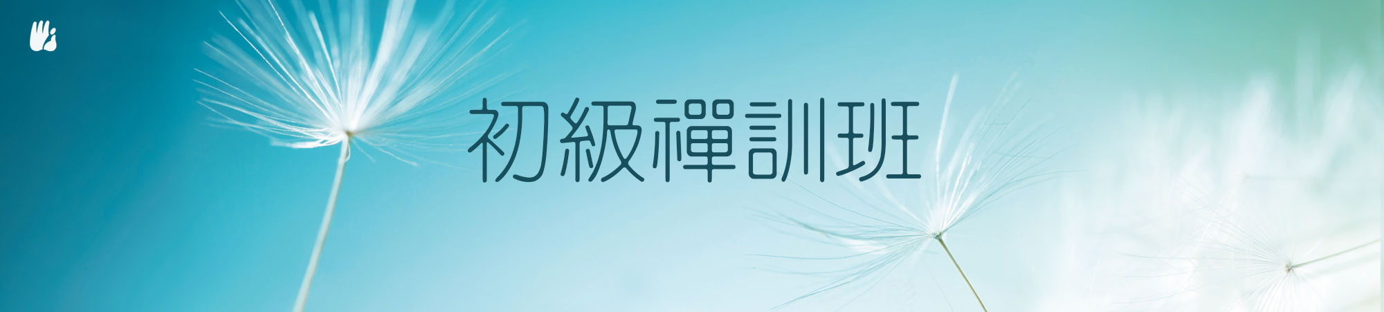 Beginner's Meditation Workshop