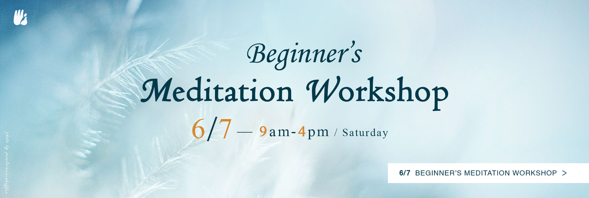 Beginner's Meditation Workshop