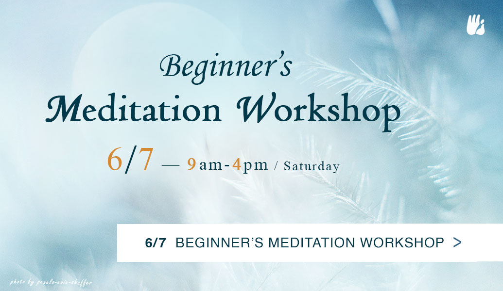 Beginner's Meditation Workshop