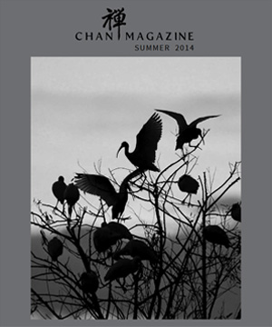 Chan Magazine - 2014 Summer